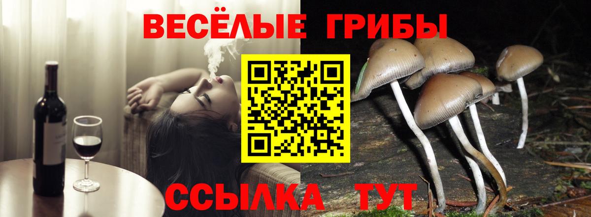 Кумертау  Галлюциногенные грибы MAGIC MUSHROOMS  где купить наркоту  Вход с VPN  Псилоцибиновые грибы Cubensis 